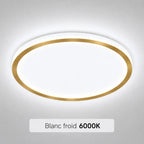 Noreya LED Ceiling Light