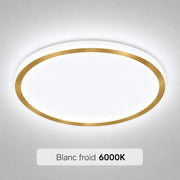 Cool White (6000K)