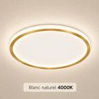 Noreya LED Ceiling Light