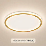 Natural White (4000K)