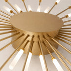 Rayn LED Ceiling Light