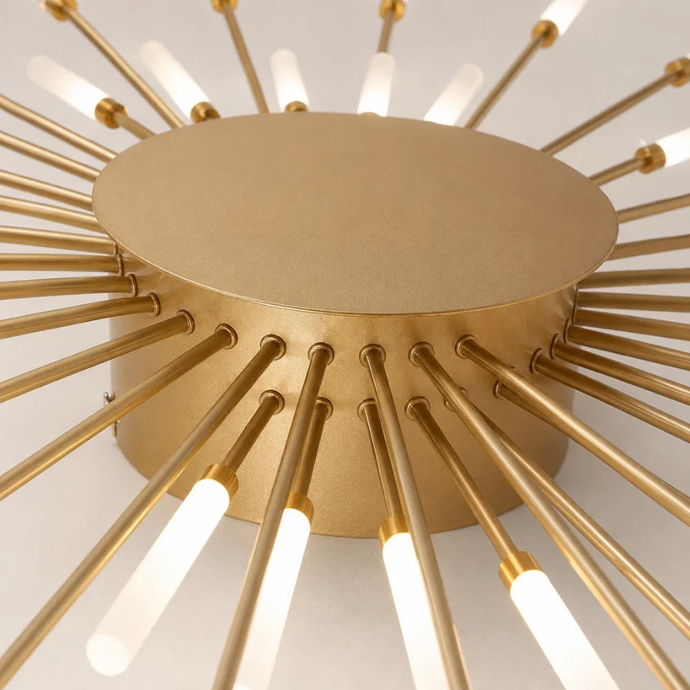 Rayn LED Ceiling Light