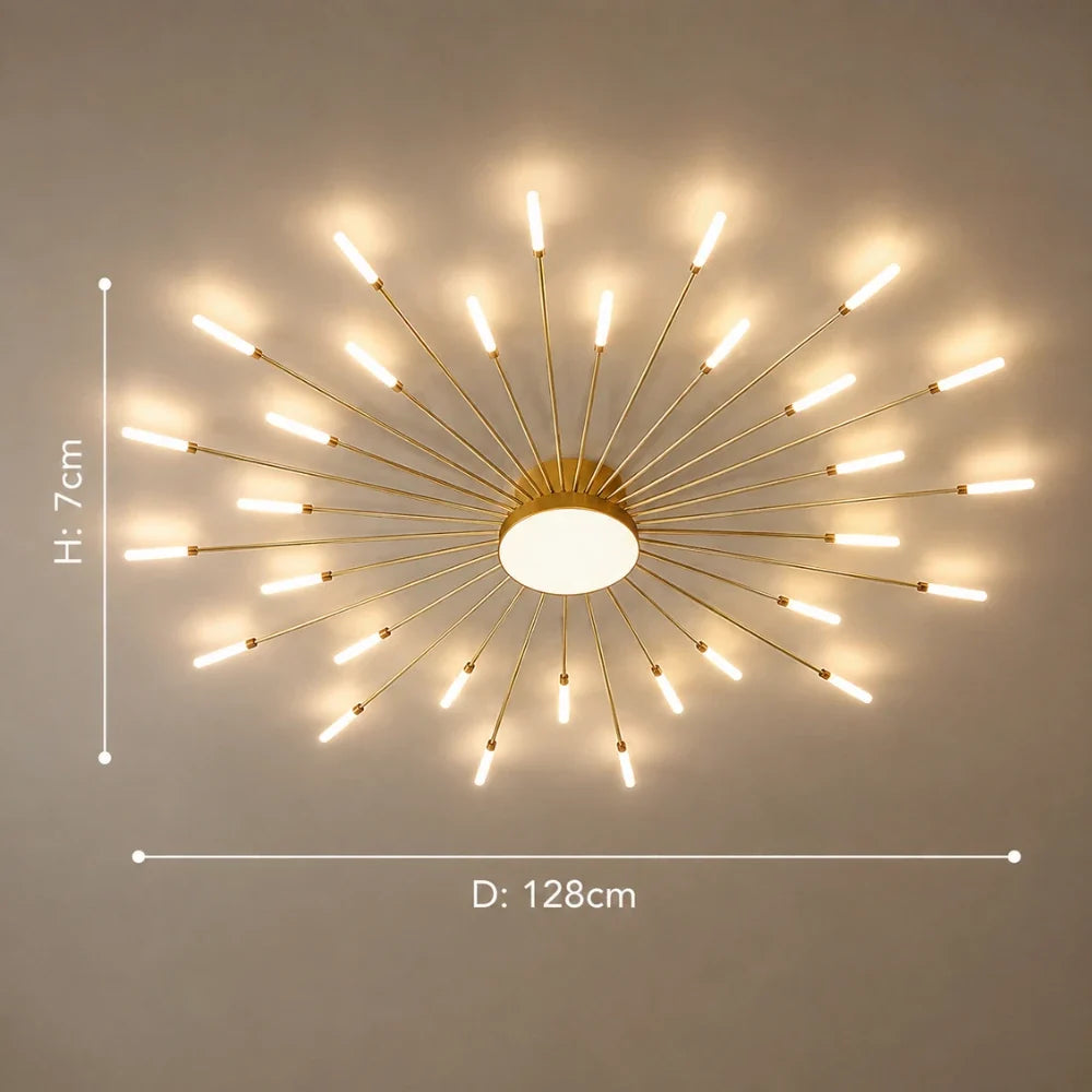 Rayn LED Ceiling Light