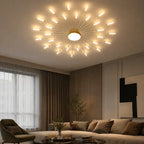 Rayn LED Ceiling Light