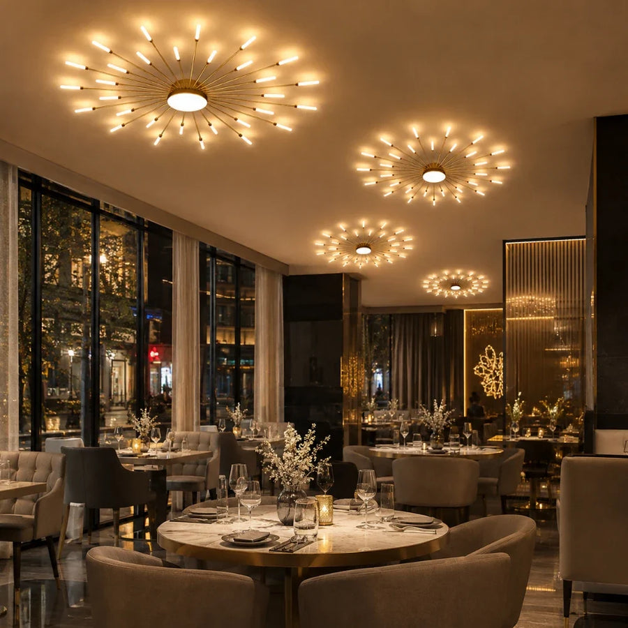 Rayn LED Ceiling Light